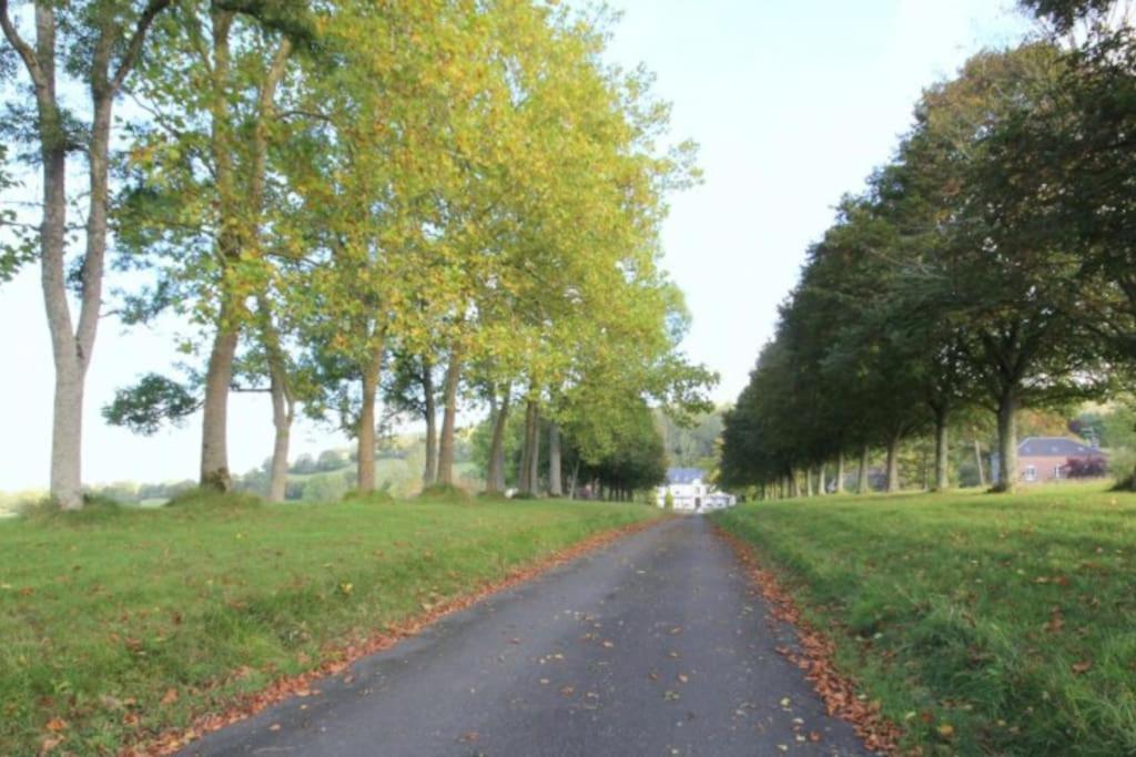La Maisonnette Saint-Pierre-en-Auge エクステリア 写真