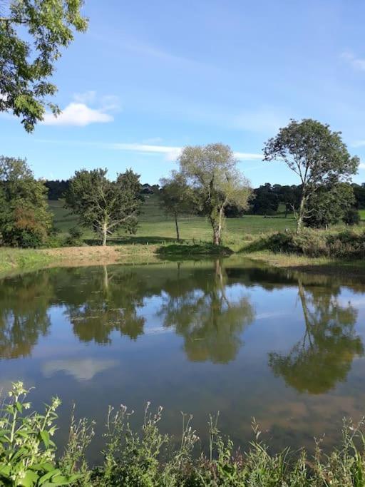 La Maisonnette Saint-Pierre-en-Auge エクステリア 写真